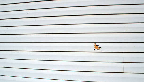 Best Storm Damage Siding Repair  in Swannanoa, NC